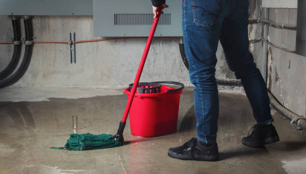 Best Mold removal after water damage  in Biddeford, ME