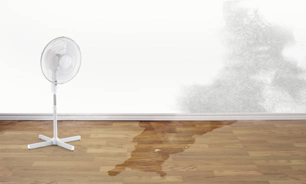 Best Professional water damage repair  in Biddeford, ME