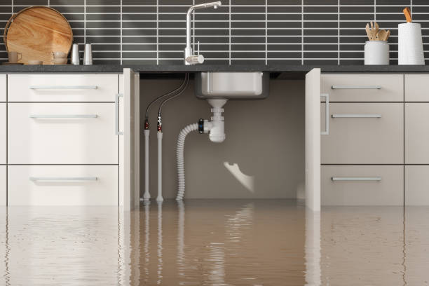 Best Flood restoration services  in Biddeford, ME