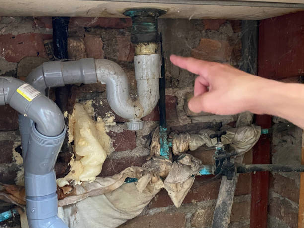 Best Carpet water damage restoration  in Biddeford, ME